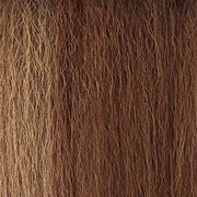 Outre Neesha Soft & Natural Synthetic Swiss Lace Front Wig NEESHA 206