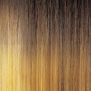 Outre Neesha Soft & Natural Synthetic Swiss Lace Front Wig NEESHA 206