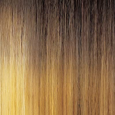Outre Neesha Soft & Natural Synthetic Swiss Lace Front Wig NEESHA 206